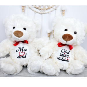 Valentinipäeva karu (34 cm)  4 erinevat disaini